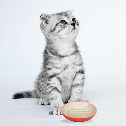 Pet Rageous dizajnira jednostavno jelo za mačke, narandžaste