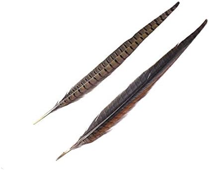 25-70CM 10-28prirodno Fazansko perje za zanate proširenje kose središnji dijelovi ukrasa perjanice