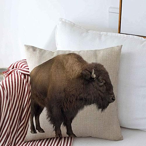 Bacanje jastuka 18 x 18 inča bizonskog bizona prednje bijele životinje životinjske životinje divlje životinje