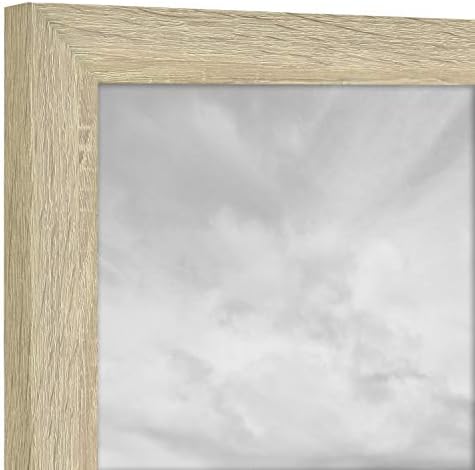 MCS Studio Gallery Frame, prirodni Woodgrain, 20 x 30 u, Jedan & Studio Gallery Frame, prirodni