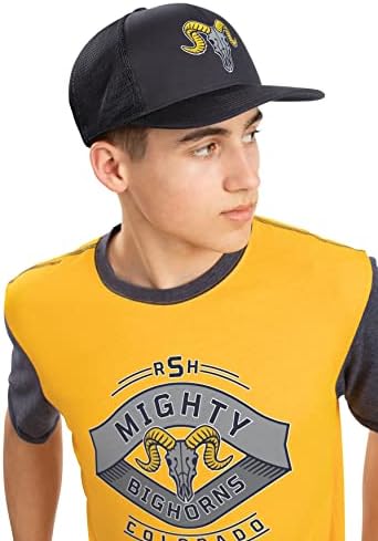 Augusta Sportska odjeća za dječake Youth Gameday Vintage Ringer Tee