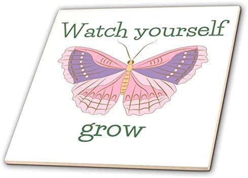 3drose slika prekrasnog leptira sa tekstom gledajte sebe kako rastete-pločice