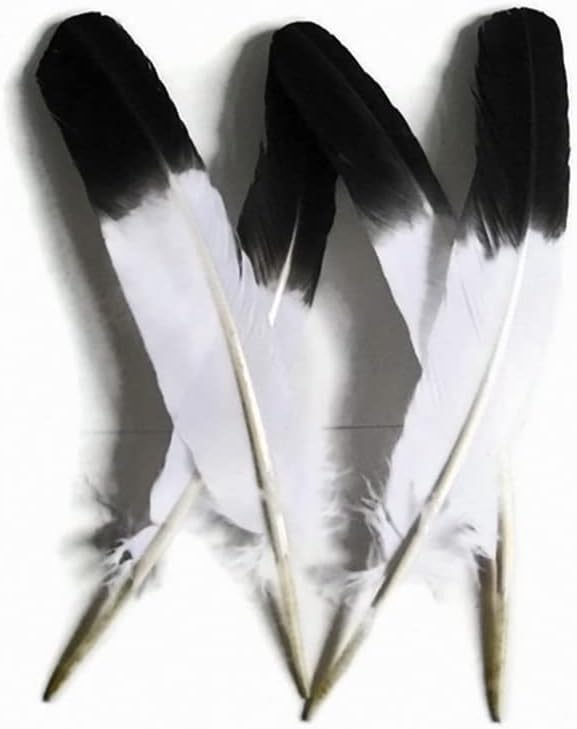 TTNDstore 10 - 12inch 25-30cm Turska krila pero pero Crna vrhom imitacija orla perje za izradu nakita