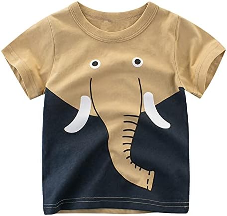 Cozystep dječji dječaci crtani Outfiti ljetna odjeća kratke rukave pamučne hlače za dinosauruse Set za
