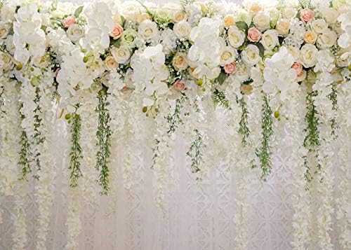 Bijela ruža cvjetna tema fotografija pozadine svadbeni tuš vjenčanje cvijeće fotografija pozadina