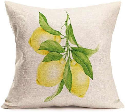 Smilyard voćni jastuk pokriva svježi limun sa zelenim listom ukrasnim jastukom kvadratnom pamučnom