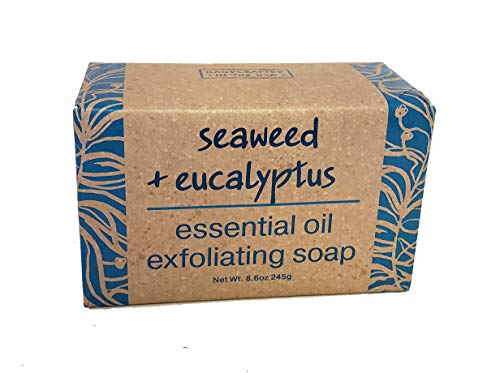 Prikupljanje Eteričnih Ulja Kompanije Greenwich Bay: Alge + Eukaliptus