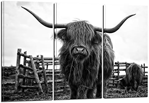 Nachi Wall-3 komada životinjsko platno zidna Umjetnost crno-bijela brdska krava slike Longhorn