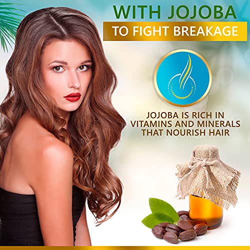 Set šampona i regeneratora kokosovo ulje i Jojoba-intenzivan hidratantni tretman bez sulfata i parabena