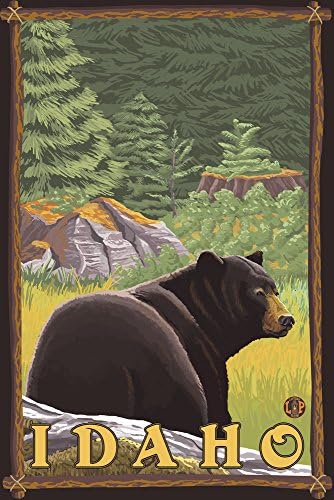 Lantern Press crni medvjed u šumi, Idaho
