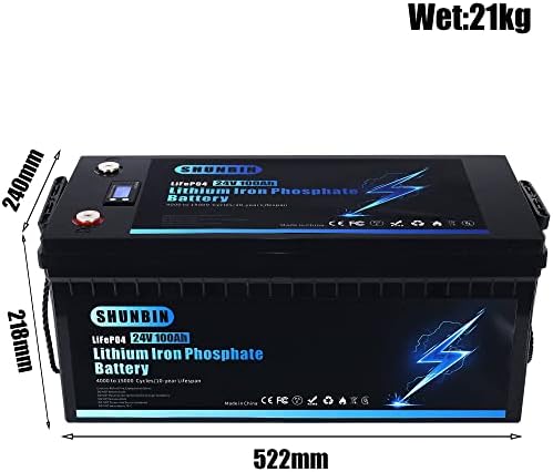 SHUNBIN LIFEPO4 100Ah 24V litijum-željezo fosfatna baterija sa bržim punjačem Coulombmetter