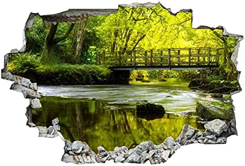 Scotland Rivers Moss Stones River Forth Moss zidni ukras Pejzaž 3D Pauza kroz zidnu naljepnicu Izmjenjiva smiješna