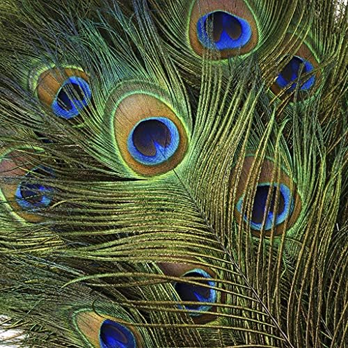 Prirodni paunski perje za oči - 40-45 100pc zanatsko napajanje DIY DECOR DECOR DECOR