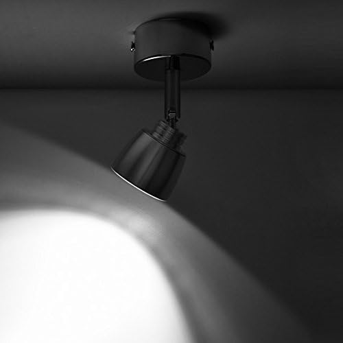 BRILLRAYDO 5W čisto bijela LED plafonska lampa slika Spot lampa Fixture Srebrna završna obrada