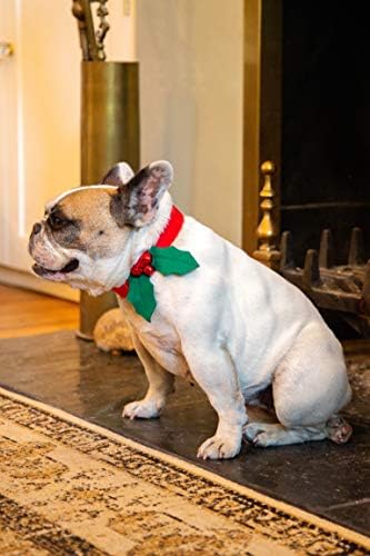 Tabela za razgovor Božićne oblačenje Dog ovratnik za kućni ljubimac Pribor sa holly listom, BC-Hound-Hol-dres