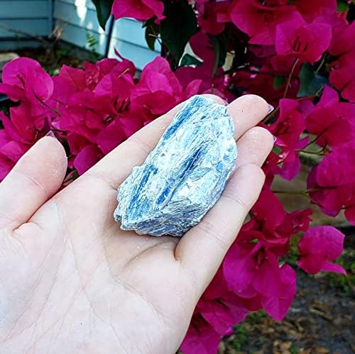 Blue Kyanite iz Brazila Ocijenjeni klaster Druzy Sirovi prirodni grubi kristalni izlječenje uzorka