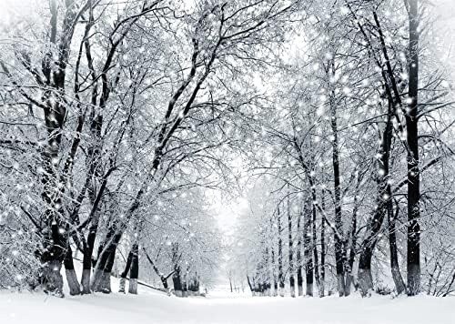 CORFOTO 9x6ft tkanina zimska scena pozadina zimski pejzaž ledeno drveće pozadina Snježna oluja zimska Zemlja