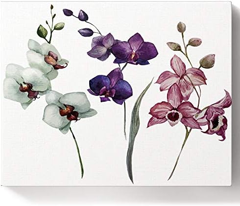 Dekor Beauty Decity Boing brojeva Komplet za djecu za djecu, akvarel Art Bijela ljubičasta i ružičasta orhideja Cvijeće boje po brojevima za kućni zidni ukras sa 3 četke, 24 akrilne boje, 12x16 inča