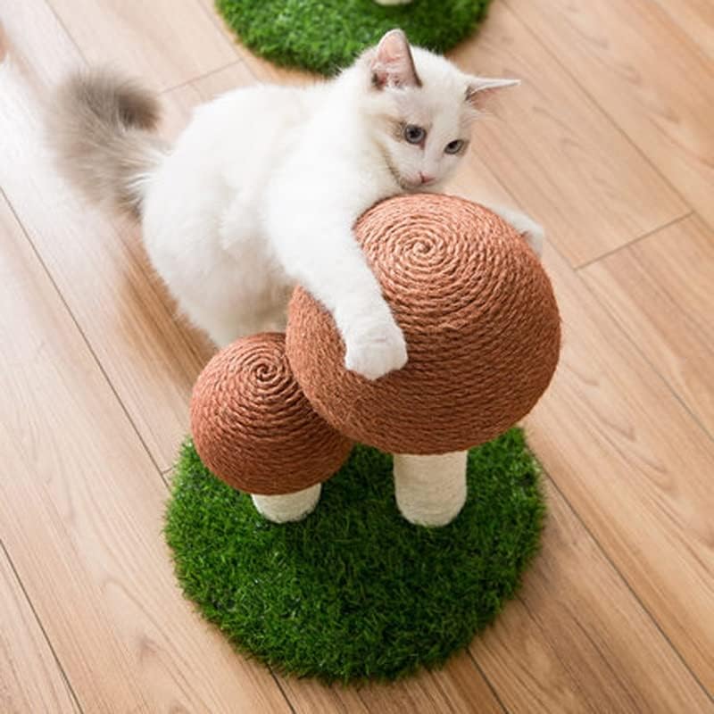 MGWYE Cactus igračka za mačke za kućne ljubimce sa kugličnim stubom za grebanje mačka Mačić penjanje na Mushroom Condo