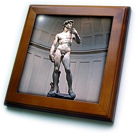 3drose Michaelangelos David statua uokvirena pločicom, 8 sa 8 inča