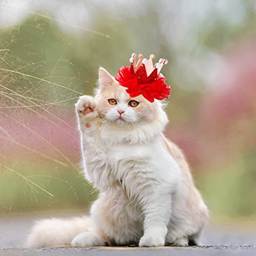 CAT princeza Crown Clorse Pearl Friptin party preljev doplata vrhunskog kose za mačke Princess
