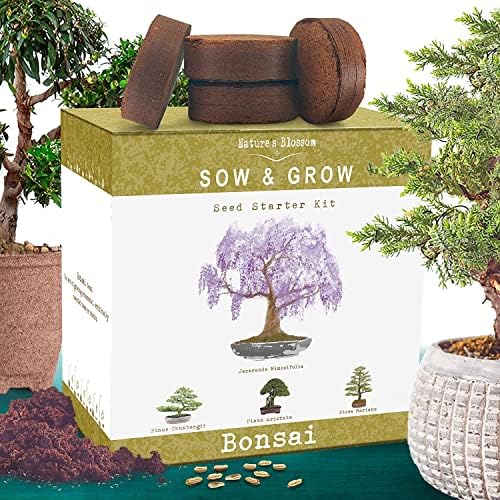 Priroda Blossom Bonsai Tree Kit-vanjski & amp; zatvoreni vrt Kit sa alatima, 4 vrste biljnih sjemena, lonci i uzgoj vodič-Gardening pokloni za Božić / Žene/Muškarci/Kids