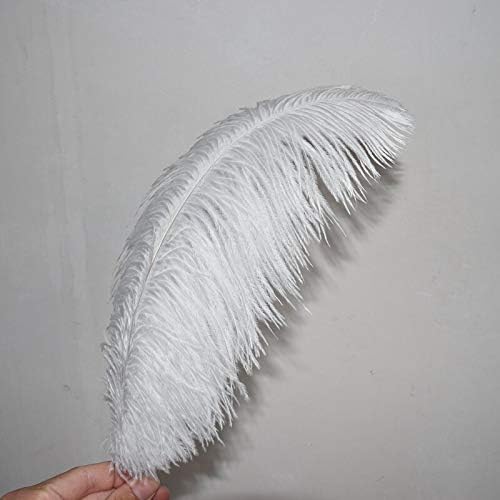 Pumcraft DIY nakit 10pcs/lot elegantno Bijelo nojevo perje 10-75cm za zanat DIY nakit svadbene