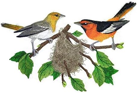 Priroda tkana u nitima, nevjerojatne ptice kraljevske bullock oriole i gnijezdo] [Custom i