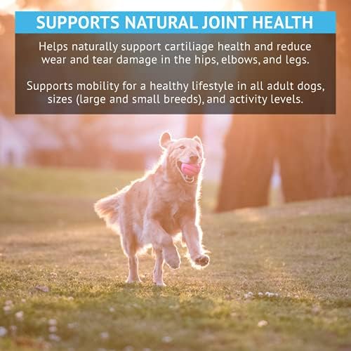 JustFoodForDogs Joint Care Plus suplementi - štiti od bolova u zglobovima, artritisa, displazije kuka-podržava