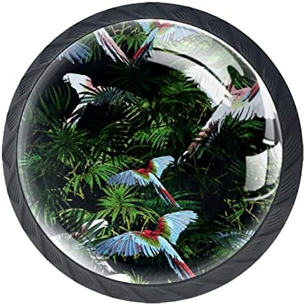 Tropska biljna ptica Kristalna ormana za kristal gumbe za kuhinjske ormare 1,18 '' Izvlačenje vuče ručke crne