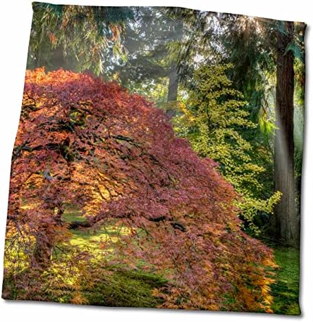 3drose japanski vrtovi u jesen u Portlandu, Oregon, SAD - Ručnici