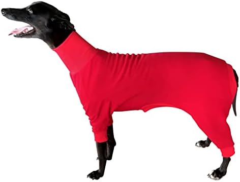 Bitza Greyhound Brurcher Saluki pas kaput pidžamas Onesie veličine pasa Odjeća za pse pulover