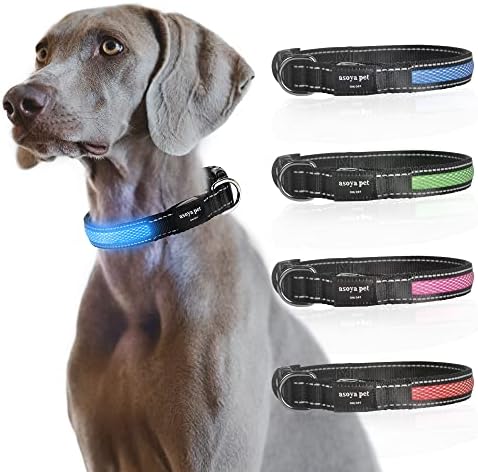 Asoya PET LED-ov ovratnik za pse sa USB punjivim super sjajnim pasom treptajućim ovratnikom sa