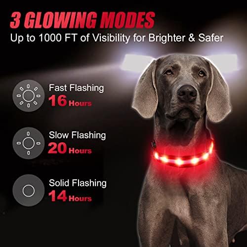 Joytale 16-24 '' ovratnik za pse i 5FT dvostrano reflektirano povodci, osvjetljavajući povratnu noćnu