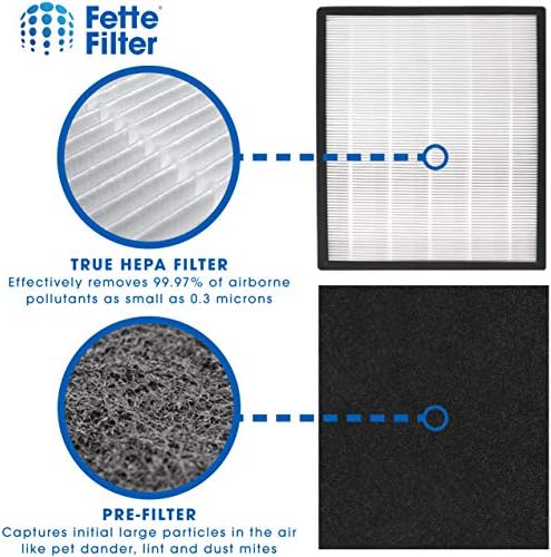 FETTER FILTER - Premium H13 True HEPA zamjenski filter J Kompatibilan sa Germguardian FLT5900 za AC5900WCA