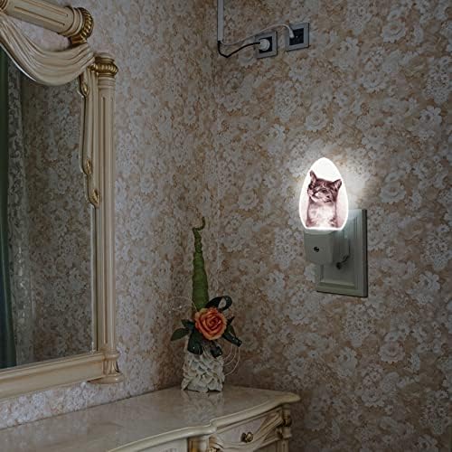 Swono ručno nacrtano noćno svjetlo za mačke koje se smiju sa svjetlosnim senzorima slatka mačića slatki osmijeh noćno svjetlo Auto On Off 0.5 W noćna svjetla se priključuju na zid za spavaću sobu kupatilo
