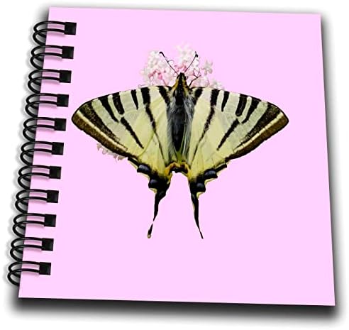 3drose gutanje na divljim češnjačkim cvjetovima izrezano na ružičastoj boji - crtanje knjiga