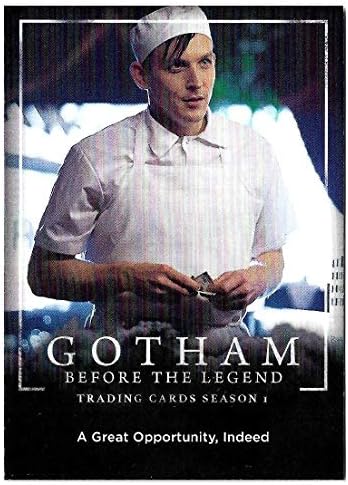 Cryptozoic Gotham Sezona 1 Prije trgovinskih karata legendi Kompletni mini master set 72 set baza kartica