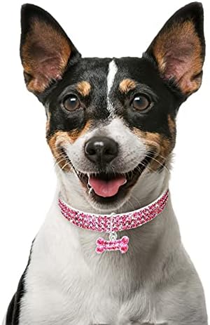 DBYLXMN PET CHOCKER CUTE Fancy Mini Dog Bling ogrlice za ogrlice za pse ovratnici za harijenje pauze