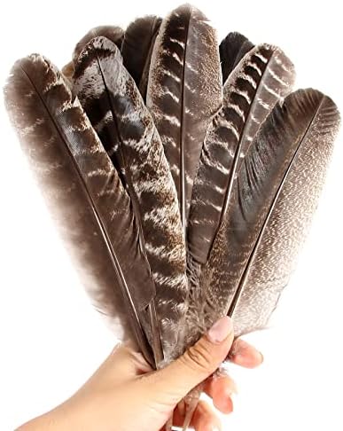 THARAHT 24kom prirodni Wild Turkey krila perje pero Bulk 8 - 10inch 20-25cm za DIY zanata projekta kolekcije vjenčanje dekoracija Wild Turkey Tails Feather