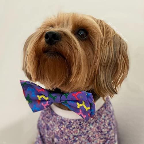 Huxley & Kent kravata za kućne ljubimce | Balon doggy | Rođendan Velcro Bowing Tie ovratnika Privitak | Zabavni