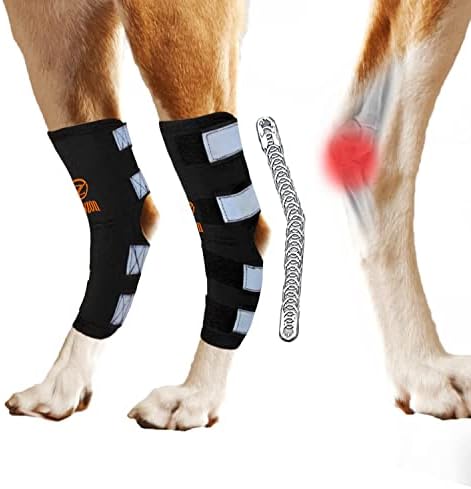 Proteza za pseće noge za podršku za stražnji stražnji gležanj, dvostruki metalni opružni aparatić, omotač kukom za spajanje izdržljiva meka sigurnosna reflektirajuća traka štiti zacjeljivanje rana, ozljede, uganuća od artritisa