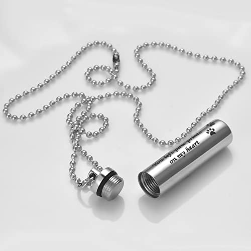 NNJHG AC311 poklon za gubitak kućnih ljubimaca spomen urna ogrlica za pepeo flaša kremiranje uspomena nakit