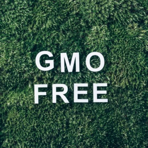 Mistični trenuci | Valerijansko korijensko eterično ulje 5ml - čisto i prirodno ulje za difuzore, aromaterapiju i masažne mješavine Vegan GMO Besplatno