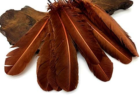 1 Lb. Brown Turkey Tom Rounds Secondary Wing Quill Veleprodaja Feathers Halloween Craft Supply / Moonlight Feather
