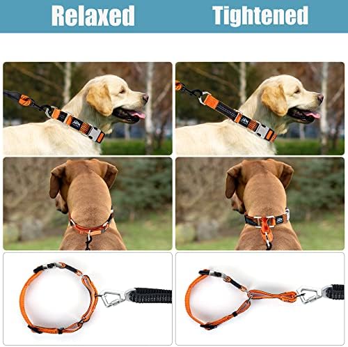 Šareni martingalni ogrlica za trening pasa - [Neoman] siguran i humanski ovratnik za pse za ne povuče trening,