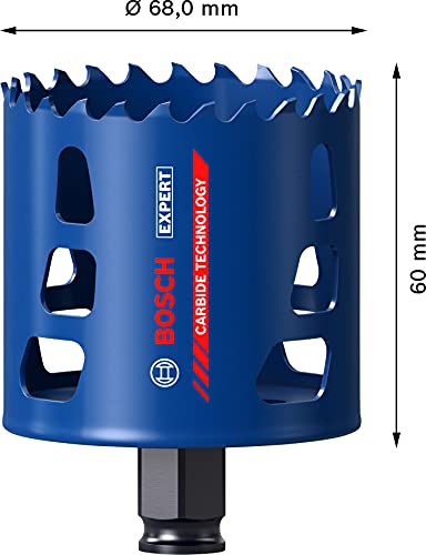 Bosch Professional 1x Expert testera za rupe od čvrstog materijala