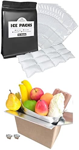 Friomex pakovanja sa suvim ledom i izolovani komplet kutija-održavajte svoju smrznutu hranu svežom tokom