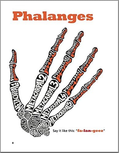 Upoznajte sebe-kosti ruke, ruke i ramena: knjiga 1, ljudska anatomija za djecu, najbolja Interaktivna