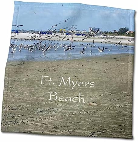 3droza Florene plaža - slika ptica lete preko FT Myers Beach Florida - Ručnici